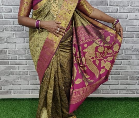 Premium Patola Soft Silk Long Border